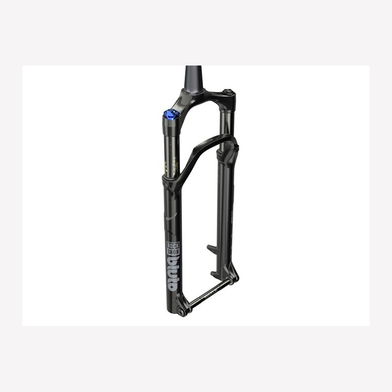 Rock Shox , Service Bluto